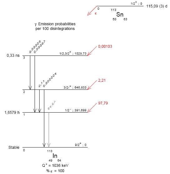 Sn-113 의 방사성 붕괴도