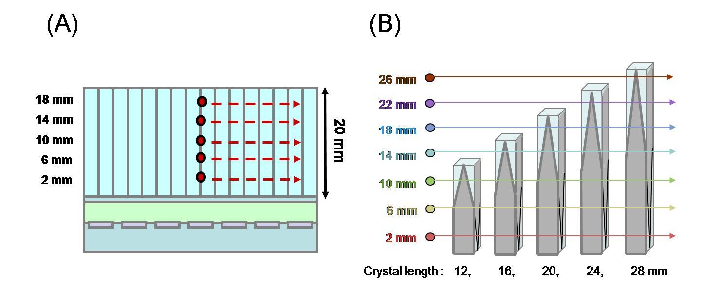 (A) 1.5x1.5x20mm3 섬광결정블록에 대한 DOI resolution을 측정하기 위한 시뮬레이션 구조와 (B) 섬광결정체 크기에 따른 DOI 분해능을 측정하기 위한 조준된 감마선을 조사한 깊이(DOI 위치)