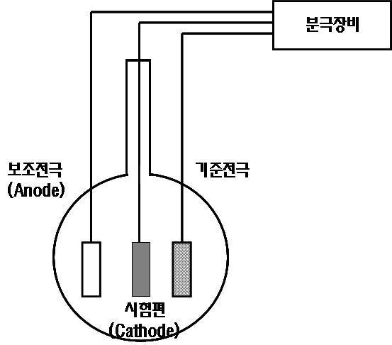 전기화학적 습식장입법