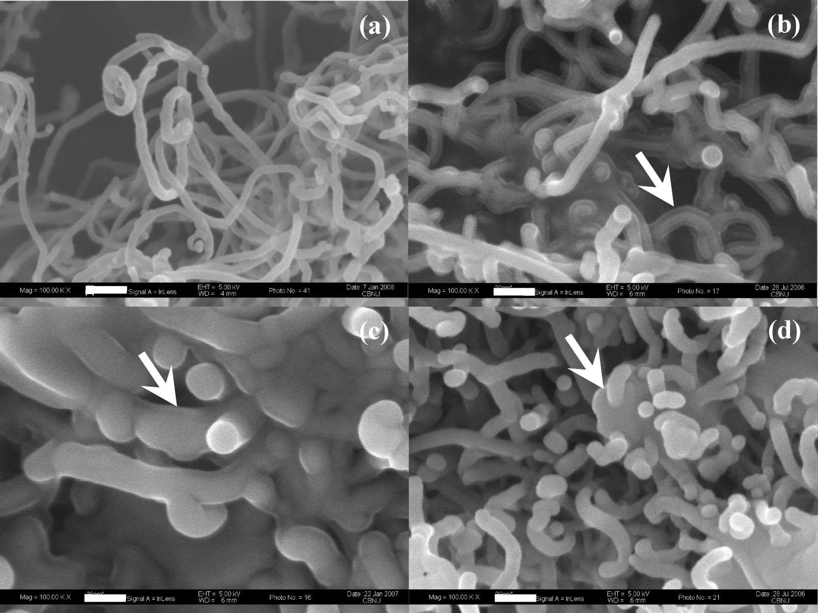 SEM images of as prepared samples