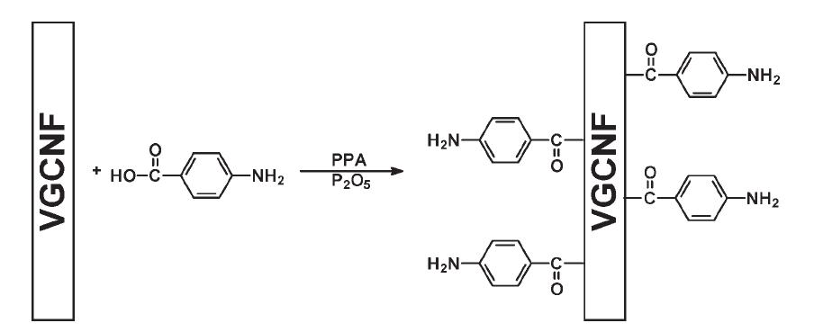 Functionalization of SL-VGCNF.