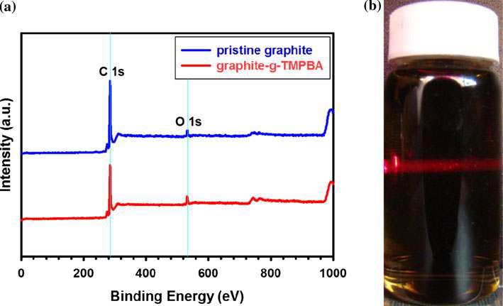 XPS survey와 NMP에 분산된 graphite-g-TMPBA의 사진.