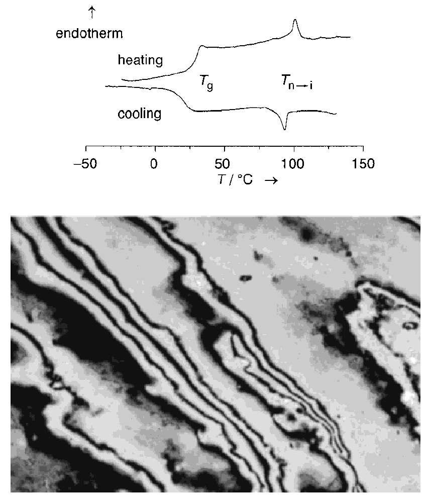 액정 고분자의 DSC diagram과 60 oC에서의 편광현미경 사진