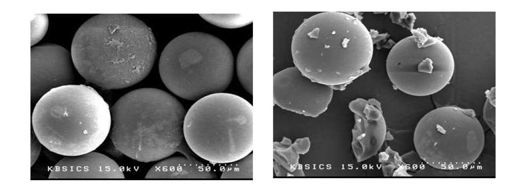 SEM image of MPR and MPR[hmim][Cl]