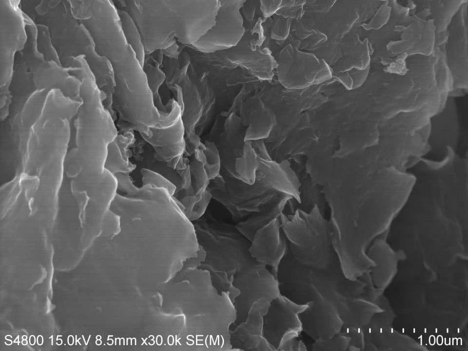 SEM of TDAC-MMT