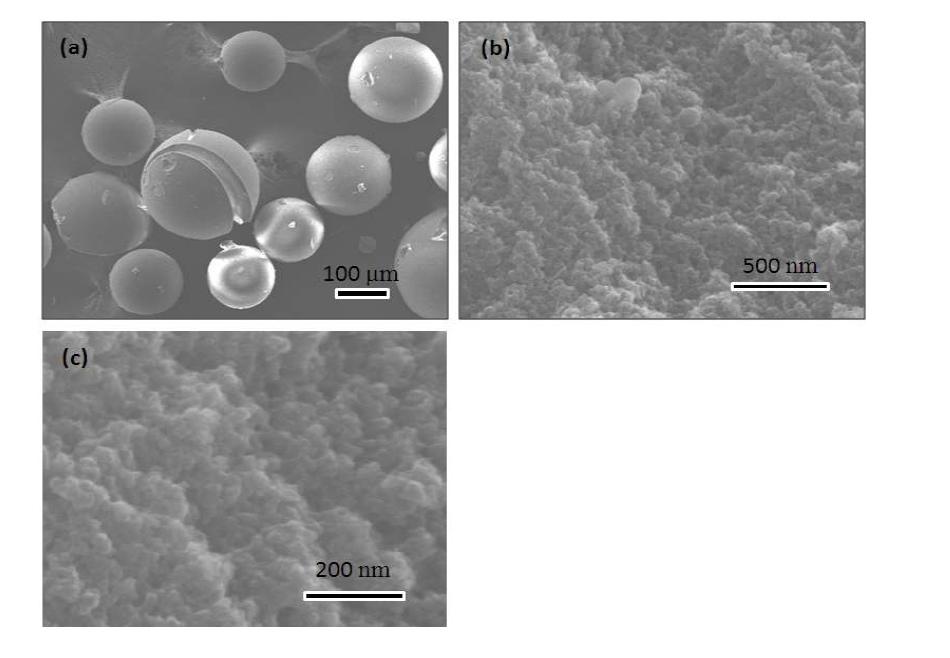 SEM image of PVIm beads (a), high resolution SEM images of cross-section of PVIm2 (b) and PVIm2-BuBr (c) beads.