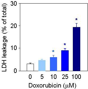 Effects of doxorubicin(DOX) on LDH leakage in platelets. Platelet-rich plasma (PRP) were incubated with doxorubin and then LDH lactate dehydrogenase) leakage was determined.