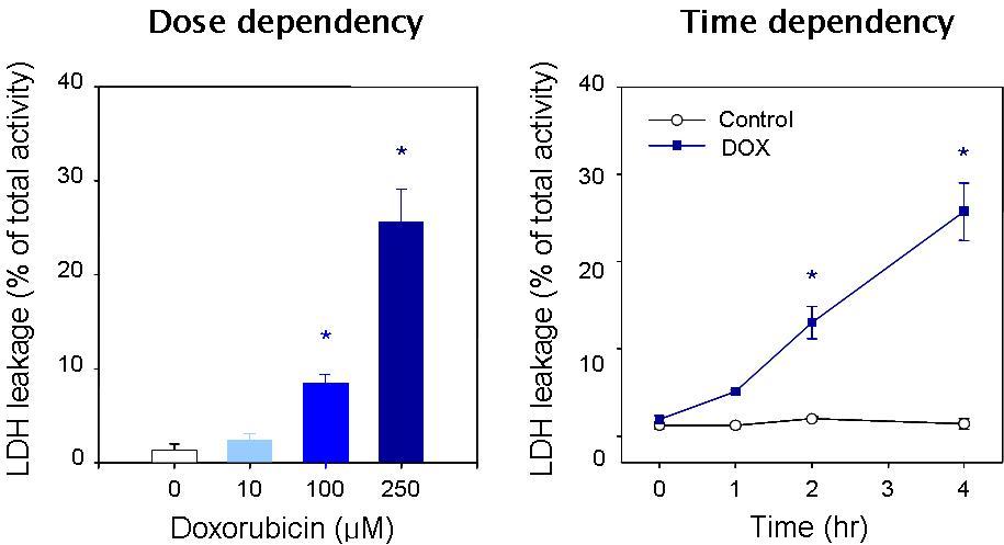 Time- and concentration-dependent LDH leakage by DOX in washed platelets.Washed platelets were incubated with doxorubin and then release of LDH (lactate dehydrogenase) was determined.