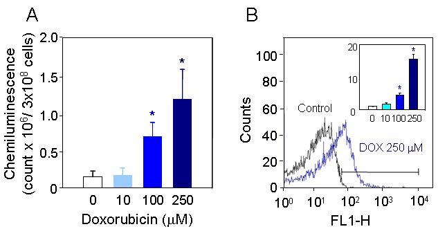 Effects of doxorubicin (DOX) on free radical generation.Washed platelets were incubated with DOX and then free radical generation was determined