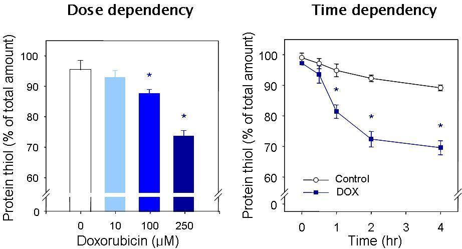 Effects of doxorubicin (DOX) on protein thiol levels.Washed platelets were incubated with doxorubicin and then protein thiol levels were determined. Values are means ± SEM of three to four independent experiments.