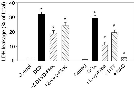 Effects of caspase inhibitors and thiol supplements on doxorubicin (DOX)-induced platelet lysis.