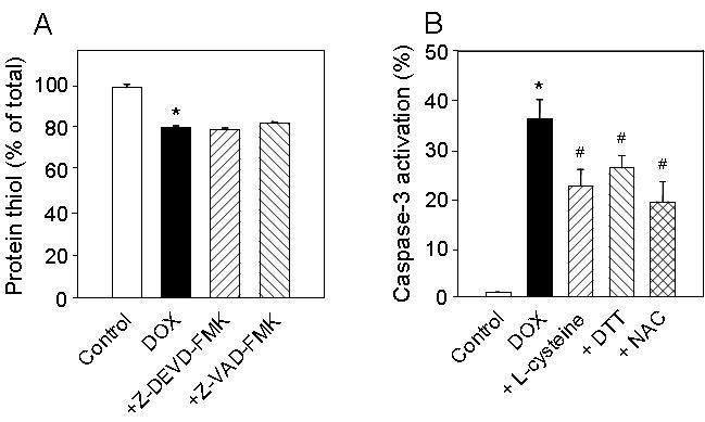 Effects of caspase inhibitors and thiol supplements on doxorubicin (DOX)-induced thiol depletion and caspase-3 activation.. Platelets were pretreated with caspase inhibitor 100 μM z-DEVD-FMK, z-VAD-FMK or thiol supplement, 10 mM L-cysteine, 2 mM DTT or 5 mM NAC 30 min prior to incubation.