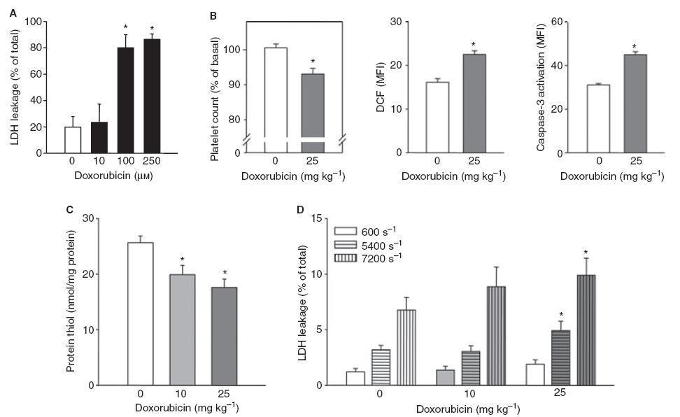 In vitro and in vivo effects of doxorubicin (DOX) treatment on platelets in rats.