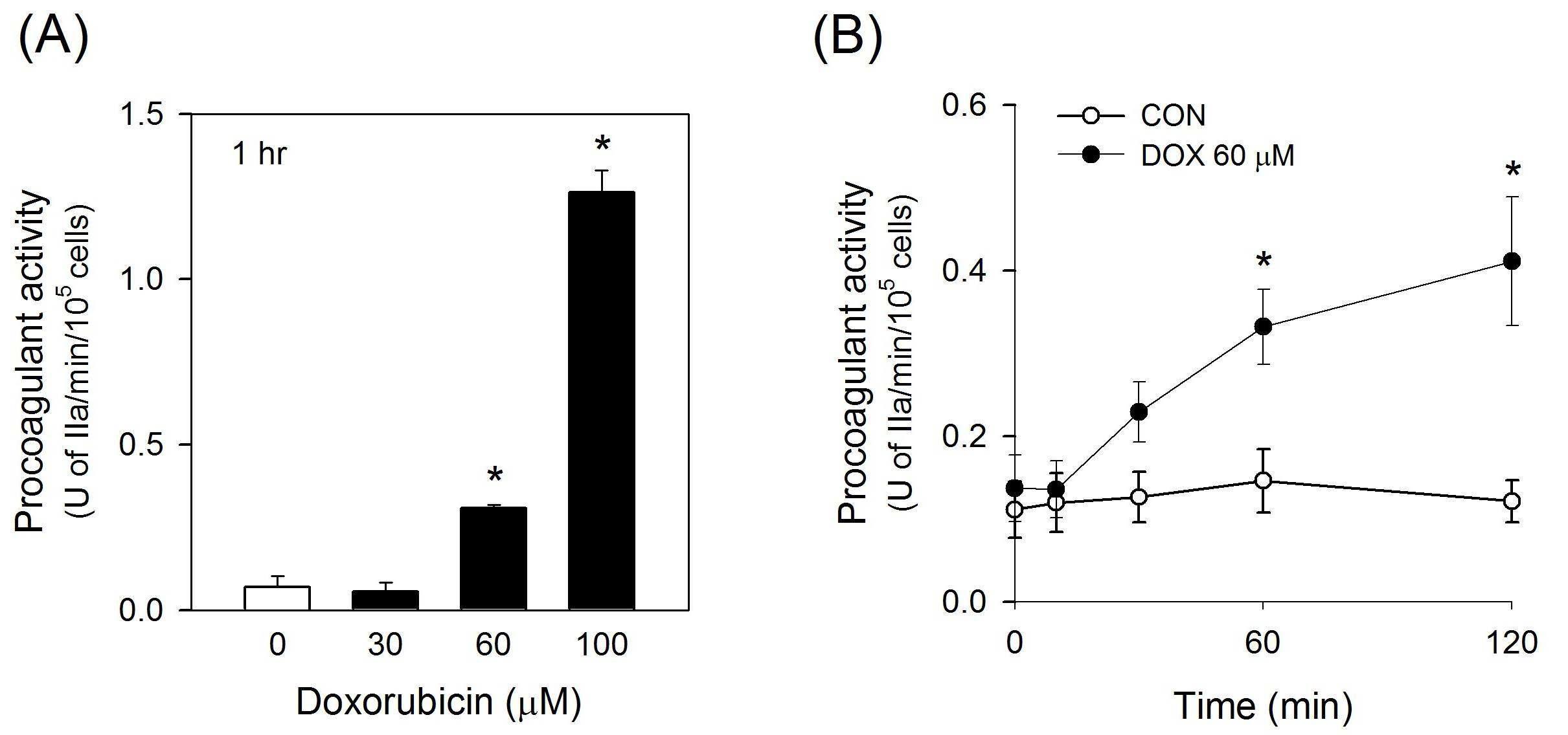 Enhancement of procoagulant activity by doxorubicin(DOX) in human WP.