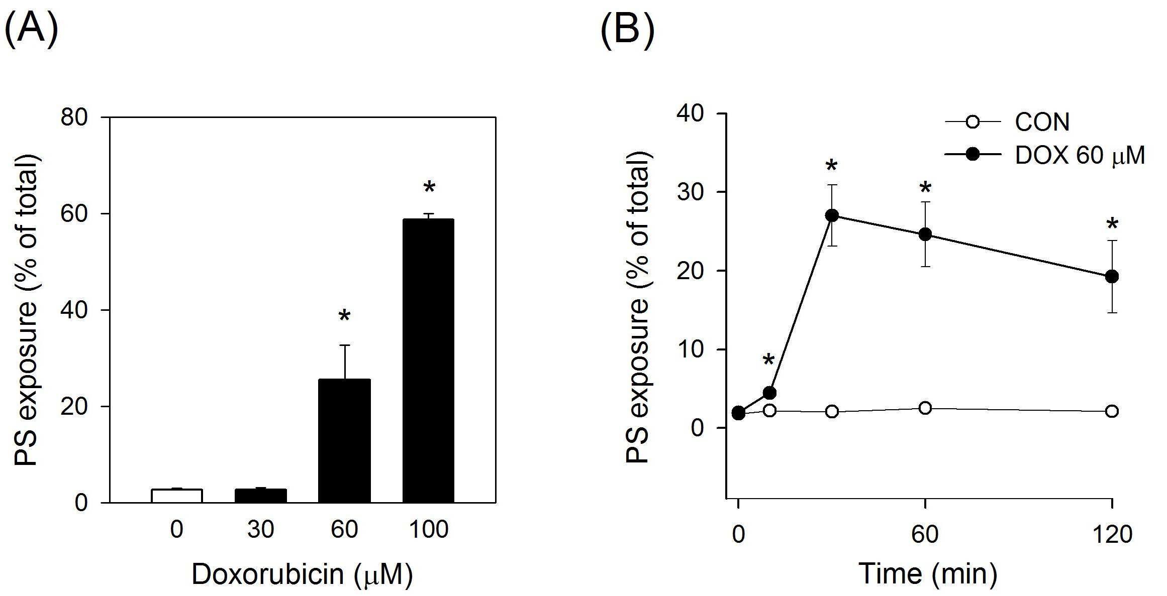 Potentiation of phosphatidylserine exposure by doxorubicin(DOX) in humanWP.　In flow cytometry analysis, doxorubicin treatment enhanced phosphatidylserine(PS) exposure of human WP.