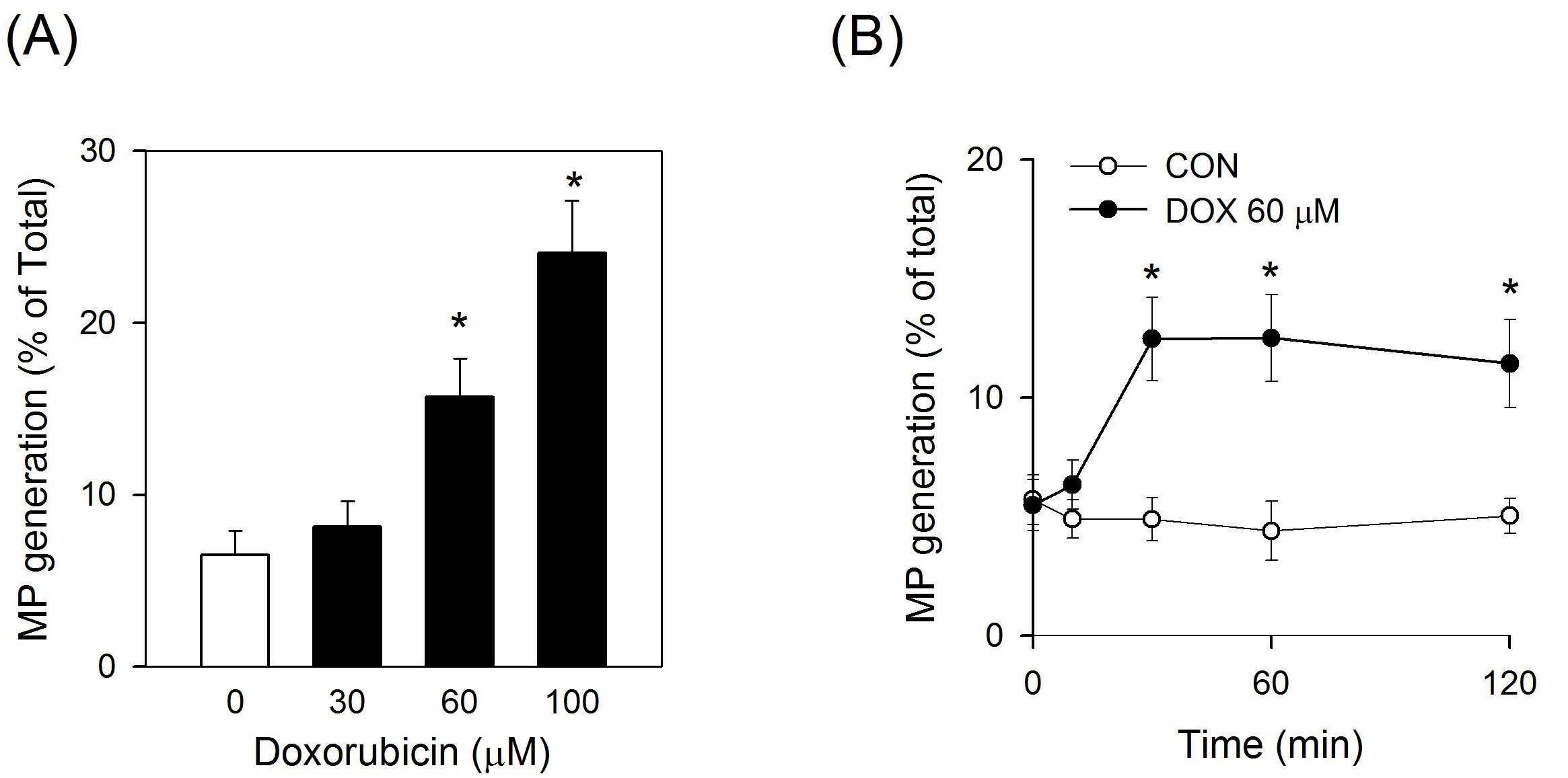 Enhanced generation of microparticles by doxorubicin(DOX) from human WP. After treatment of doxorubicin, microparticles (MP) generation was analyzed by flow cytometry.