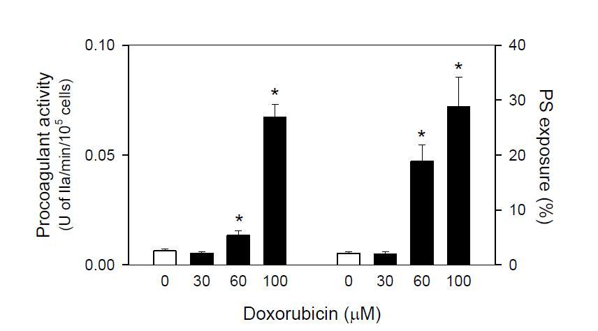 Procoagulant activity and phosphatidylserine exposure of isolated MPs. After treatment of doxorubicin in human WPs, generated MPs were isolated as described in Materials and Methods. Procoagulant activities and phosphatidylserine exposure of isolated MPs were examined using prothombinase complex assay and inflow cytometry analysis. Values are mean ± SEM of 3-4 independent experiments.