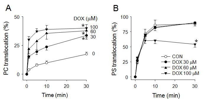 After platelets were treated with DOX, the extents of phospholipid translocation were measured. (A) C6-NBDPC translocation by scramblase was measured. (B) C6-NBDPS translocation by flippase was determined.