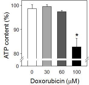 The levels of intracellular ATP were measured by luciferin-luciferase assay.