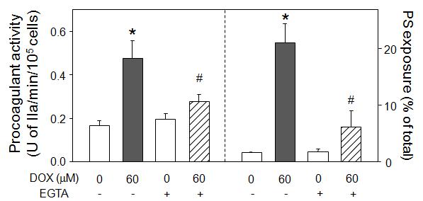 DOX-enhanced PS exposure and MP generation were examined after pretreatment with EGTA (5 mM) for 5 min.