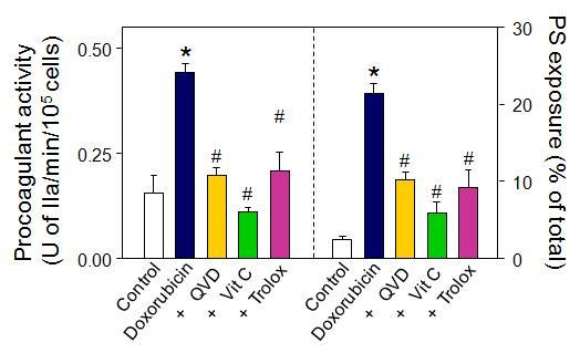 Washed platelets were pretreated with caspase inhibitor (0.5 mM QVD) or anti-oxidants [5 mM Vitamin C (Vit C) or 0.1 mM trolox] for 30 min, and then were incubated with 60 μM DOX for 1 hr. Procoagulant activity and phosphatidylserine exposure was determined.