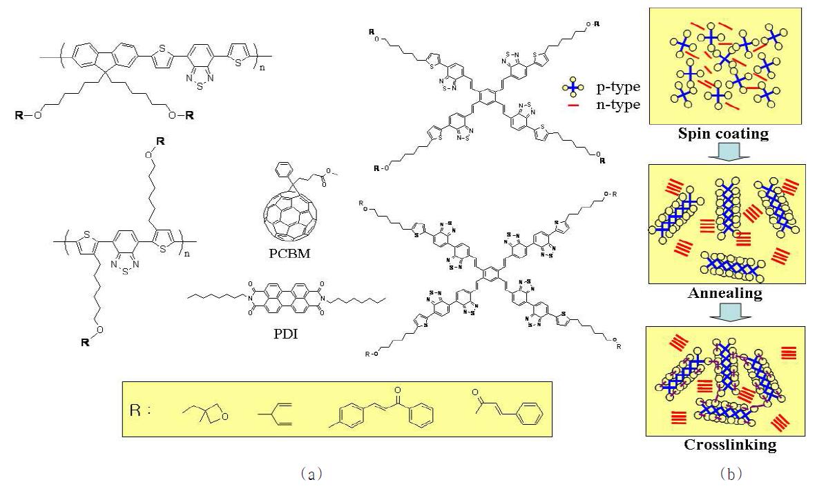 Photoreactive p-type polyme통r와한 d결en정d화rit ic유 m도o l및ec u광les가 교(a )(, b습).식공정에 의한 필름 제작 후 열처리를 통한 결정화 유도 및 광가교 (b).