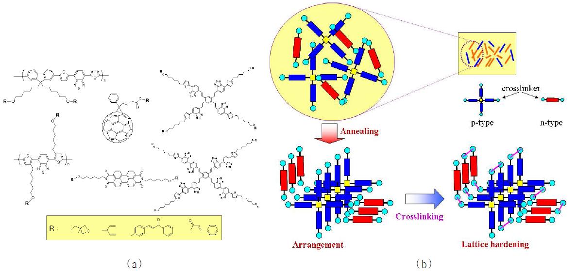 Photoreactive p-type polymer, dendritic molecules와 n-type PCBM, PDI 유도체(a), 습식공정에 의한 필름 제작 후 열처리를 통한 결정화 유도 및 광가교(b).