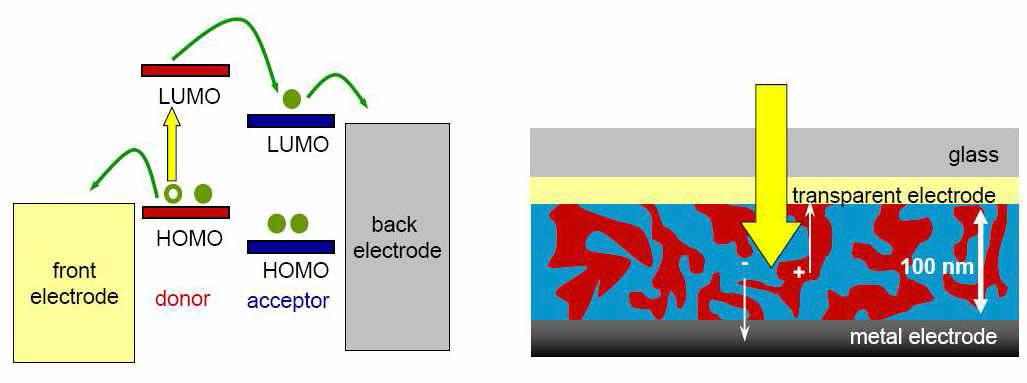 Organic photovoltaic cell 작동 원리 및 bulk heterojunction cell.