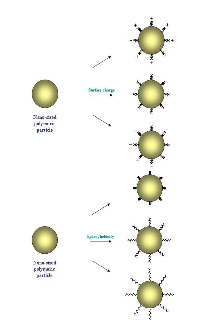 나노 고분자 입자의 표면 개질 통한 이온성 부여 (상단) 및 소수성 변화 (하단)