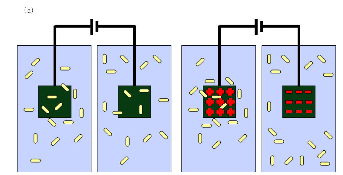 (a) 고체 표면에 전류가 흐르지 않을때의 미생물의 흡착 상태 예측도(b) 고체 표면에 + 전류 및 - 전류를 흘려 줄 때의 흡착 상태 예측도