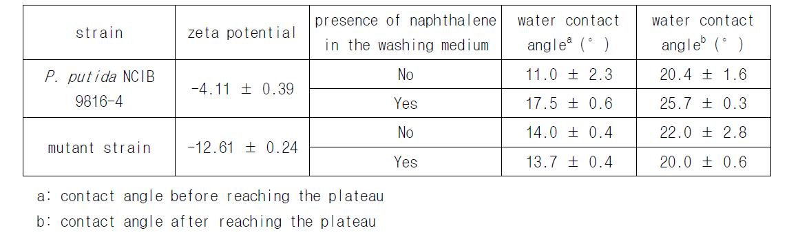 exponential phase에서의 사용된 균주의 water contact angles and zeta potential