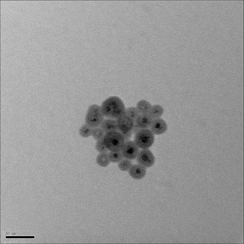 TEM image of nano-sized magnetic silica particles