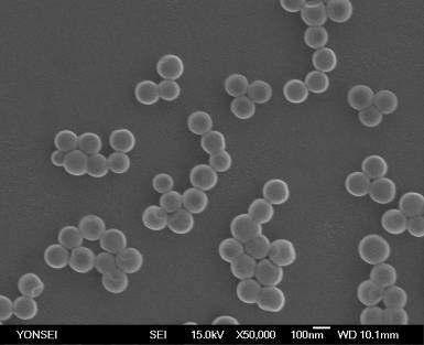 Polystyrene particles synthesized using Manganese (III) acetate