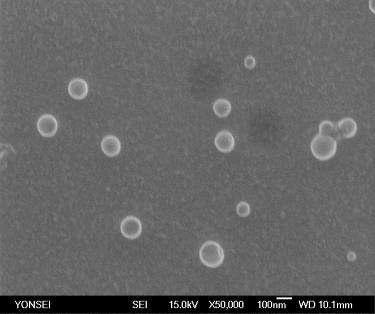 Polystyrene particles synthesized using MnP