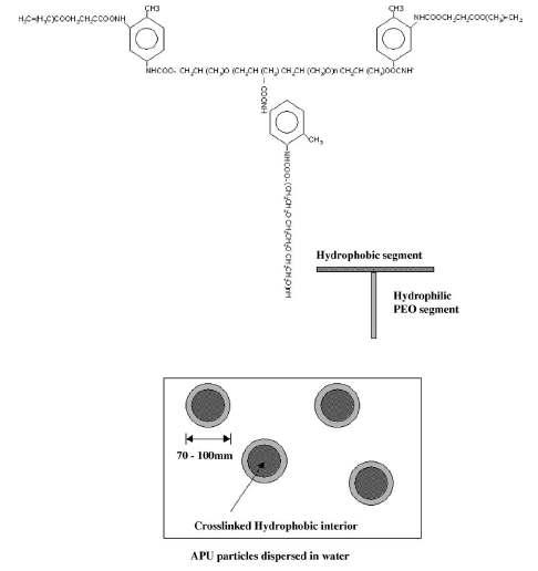 다양한 친수성/소수성 및 이온성의 amphiphilic polymer 합성