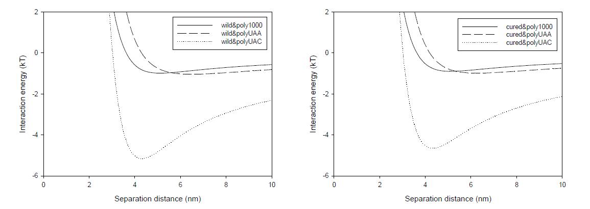 미생물과 polyUAN-1000, polyUAA, polyUAC 물질들과의 total interaction Gibbs energy profile