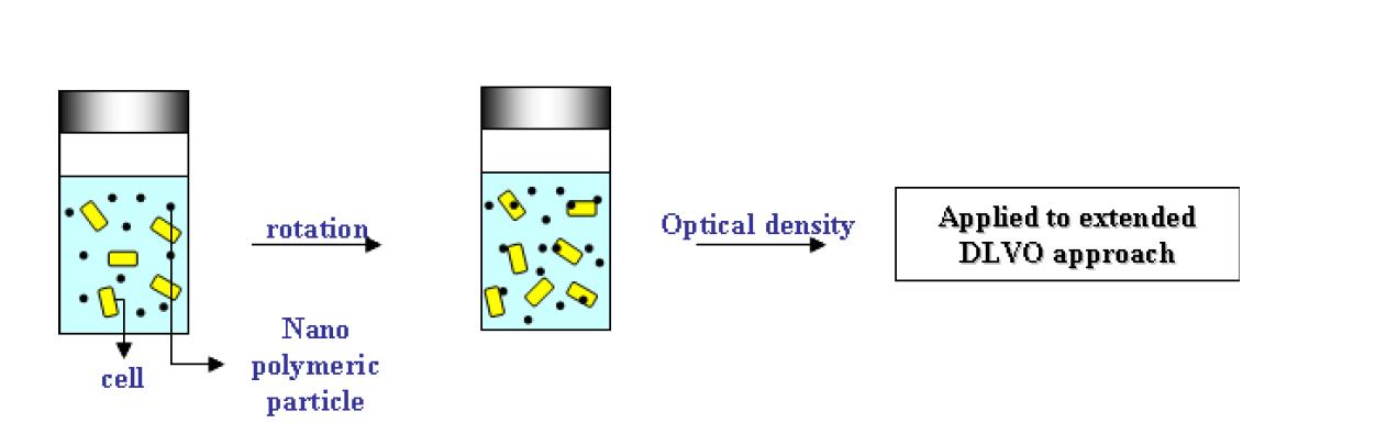 silica gel/silanized silica gel 흡착 TEST