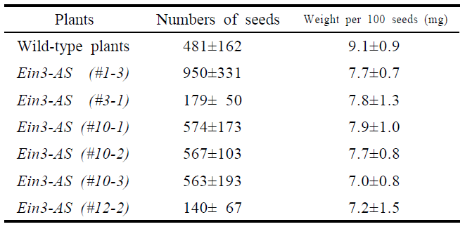 Ein3-AS 형질전환 식물체(T1)의 종자 갯수 및 무게