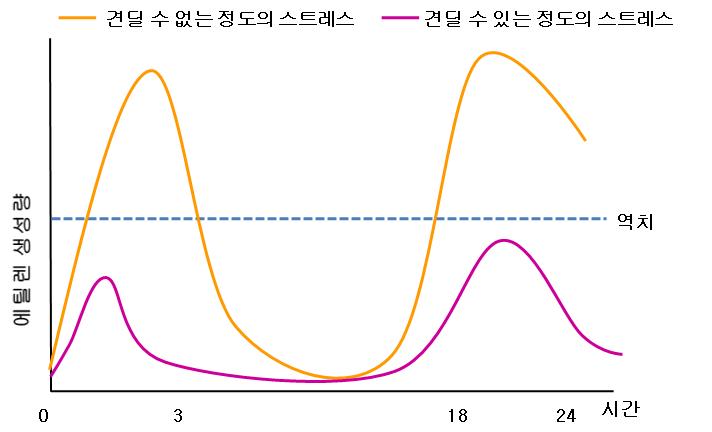 스트레스 정도에 따른 에틸렌 생성량의 biphasic 양상