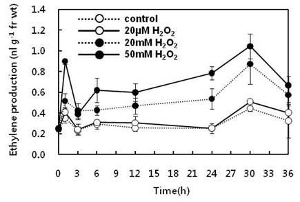 H2O2에 의한 에틸렌 생성량 확인