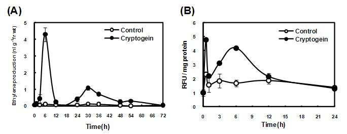 Cryptogein 처리 후 에틸렌 생성량(A) 및 ROS 정량 분석(B) 확인