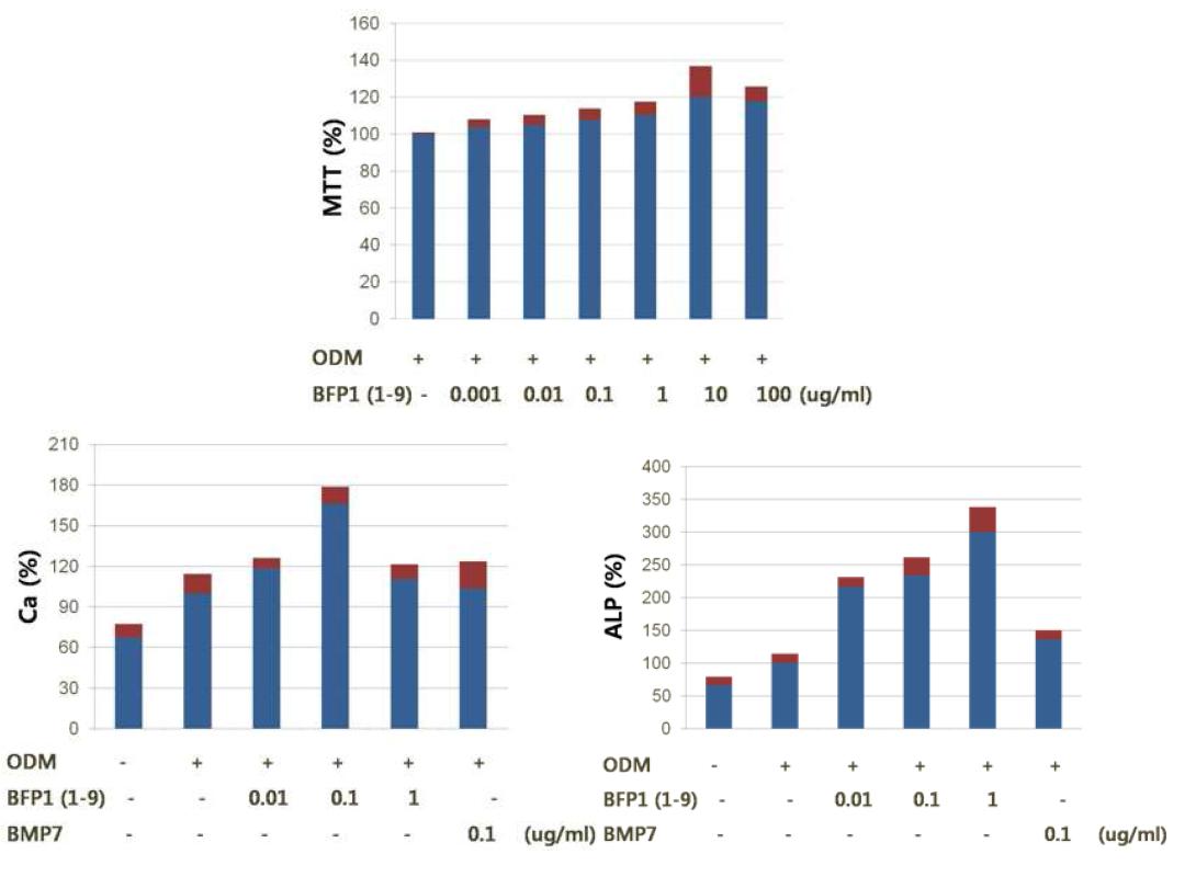 BFP1(1-9)의 세포독성, 칼슘 및 ALP 활성