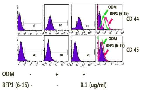 BFP1(6-15)에 의한 CD44 FACS 분석