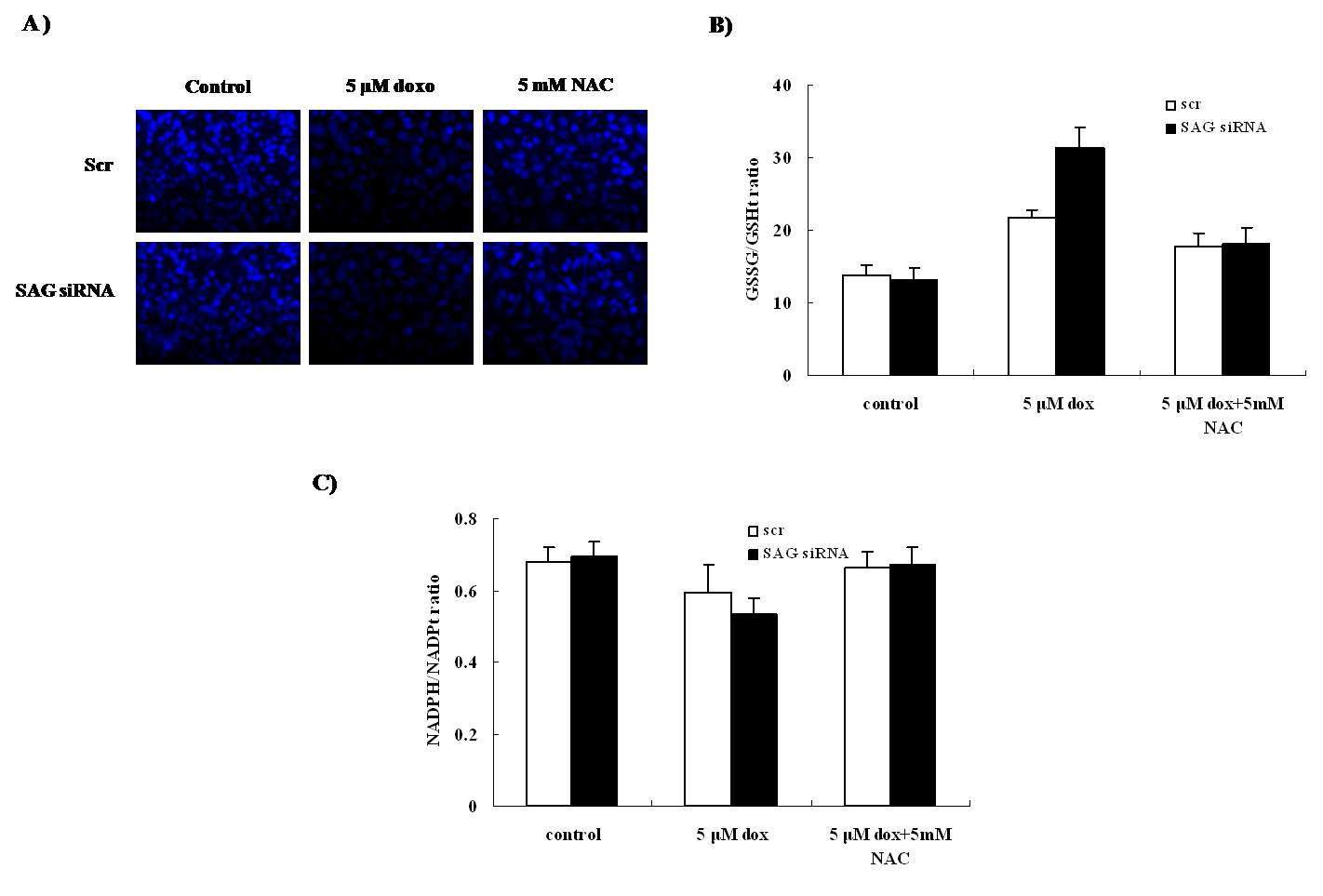 Intracellular redox status