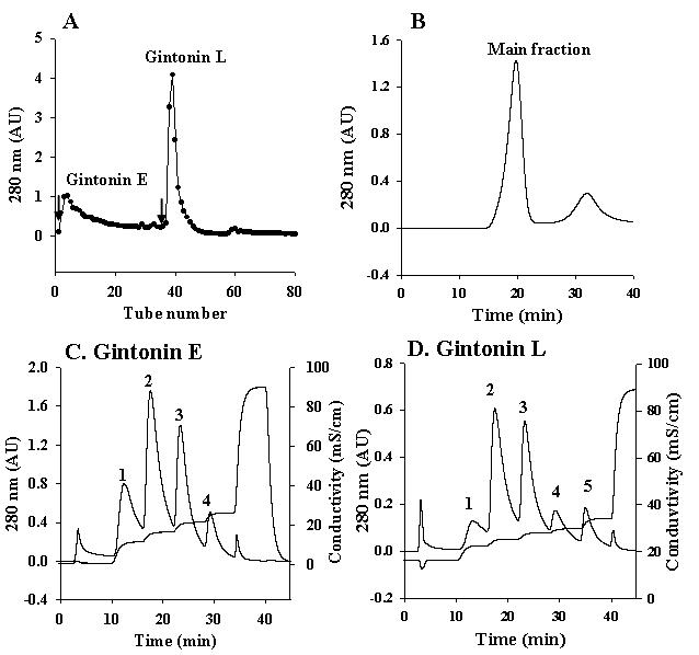 A, Crude 진토닌은 DEAE sepharose CL-6B 음이온 교환 크로마토그램을 사용하여 진토닌 E와 L 분획으로 분리하였다. 진토닌 E 분획은 PBS (pH 7.2)로 먼저 용출되어 나온 분획이고, 진토닌 L 분획은 PBS (pH 7.2)에 0-2 M의 NaCl의 linear gradient를 적용하여 용출된 분획이다. 화살표들은 column matrix에 결합되어 있는 단백질을 용출하기 위해 적용된 염의 농도 를 표시한다. B, (A)에서 획득한 진토닌 L 분획을 PBS (pH 7.2)로 Superdex 75 gel filtration 크로마토그램을 한 대표적 결과. 진토닌 E의 gel filtration 크로마토그램의 경향은 진토닌 E의 gel filtration 크로마토그램 패턴 과 비슷하였다. 높은 분자량을 가진 진토닌 E와 L의 주요 peak 분획 또한 Xenopus oocytes 의 CaCC를 활성화시켰다. C, 진토닌 E 주요 분획의 Stepwise gradient DEAE 음이온 교환 크로마토 그램 : 20 mM Tris-HCl (pH 8.0)에서 1, 100 mM, 2, 150 mM, 3, 200 mM과 4, 250 mM mM NaCl. D, 진토닌 L 주요 분획의 Stepwise gradient DEAE 음이온 교환 크로마토 그램 : PBS (ph 7.2)에서 1. 150 mM, 2. 200 mM, 3. 250 mM, 4. 300 mM과 5. 400 mM NaCl. 진토닌 E와 L의 1, 2와 3 Peaks은 Xenopus oocytes의 CaCC를 활성화시켰다