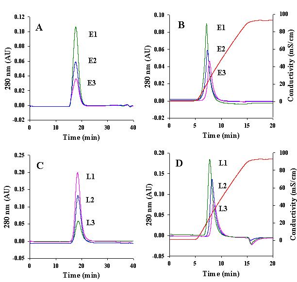 A 와 C, 정제된 진토닌 E1, E2, E3, L1, L2와 L3의 PBS를 용출 용매로 한 Superdex 75 column에서의 겔 필트레이션 (gel filtration) 크로마토그램의 겹친 그림. B 와 D, 정제된 진토닌 E1, E2, E3, L1, L2와 L3의 음이온 교환 크로마토그램 후 겹친 그림. 두 가지 크로마토그램은 개별적인 진토닌들이 단일 Peak로 분리됨을 보여주고 여섯 개의 개별적인 진토닌들의 분자량이 거의 같음을 나타내지만 각 진토닌들이 가지는 charge가 다르다는 것을 보여준다. 진토닌 E1,E2 또는 E3는 20 mM Tris-HCl (pH 8.0)에서 0에서 1M NaCl의 linear gradient로 용출되었다. (B), 반면 진토닌 L1, L2 또는 L3는 0에서 1M NaCl의 linear gradient를 가진 PBS (pH 7.2)로 용출되었다