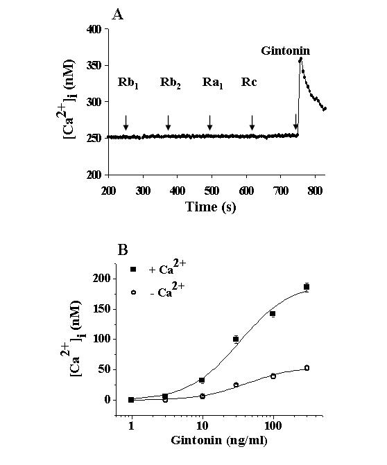 Fura 2-loaded mouse EAT 세포에서 G-단백질 결합 수용체 작용제(G-protein coupled receptor agonist) 처리는 세포 내 유리 칼슘([Ca2+]i)의 일시적인 증가를 유도하는 것으로 알려져 있다