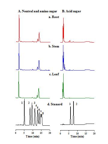 A-C, HPAEC-PAD chromatogram은 인삼 뿌리, 줄기 및 잎에서 분리한 진토닌이 rhamnose, arabinose, glucose, manose와 xylose 같은 5종류의 neutral sugar (중성당)와 glucosamine의 한 종류의 amino sugar (아미노 당)으로 구성되어 있는 것을 보여준다.