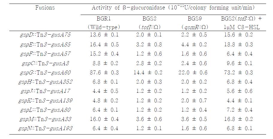 Expression of gsp::Tn3-gusA fusions in the tofI and qsmR mutation backgrounds