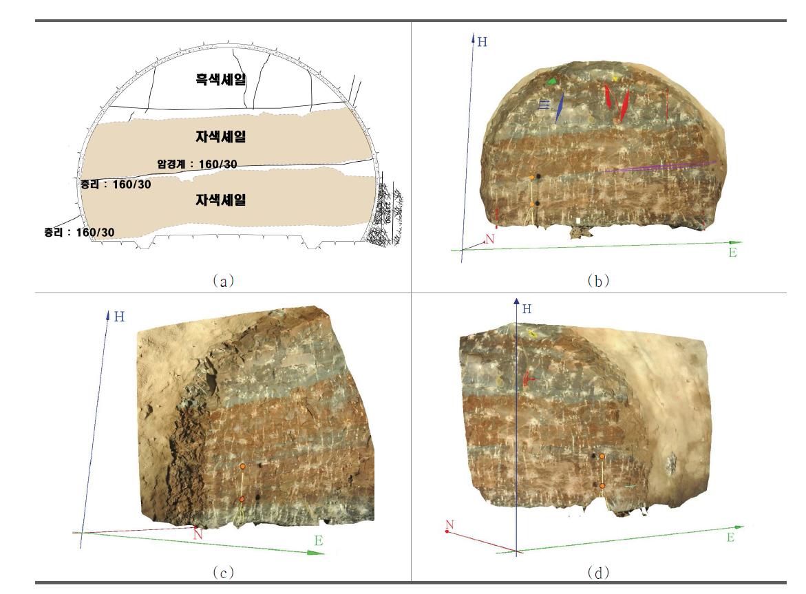 ShapeMetrix를 이용한 절리면 조사결과 (STA 108+744~108+751)